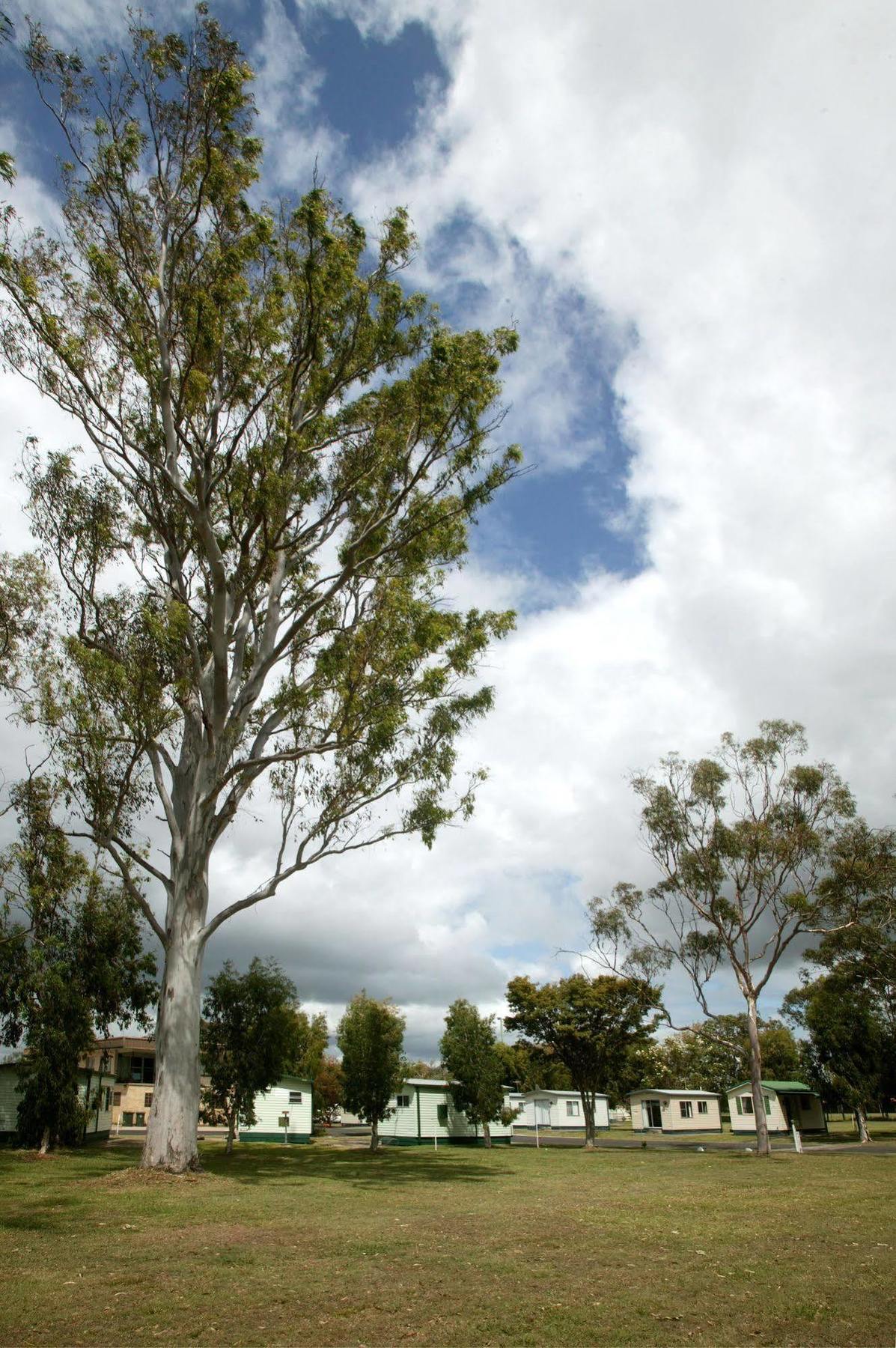 Holiday park Discovery Parks - Casino Casino